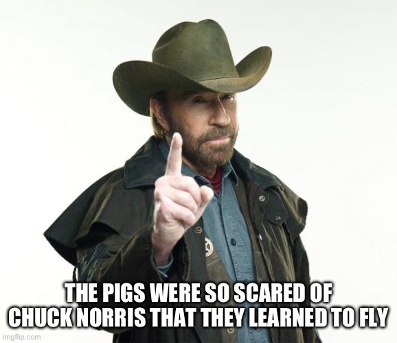 Chuck Norris Finger Meme | THE PIGS WERE SO SCARED OF CHUCK NORRIS THAT THEY LEARNED TO FLY | image tagged in memes,chuck norris finger,chuck norris | made w/ Imgflip meme maker
