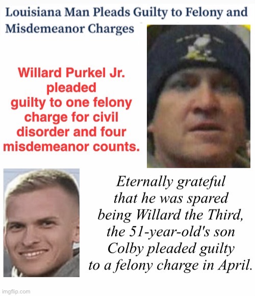 Purkel bleats | image tagged in domestic terrorists,the two of them need look no more,felons,losing sheep,treason | made w/ Imgflip meme maker