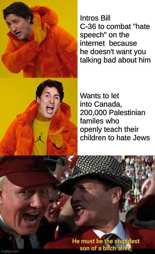 Stupidest SOB alive | Intros Bill C-36 to combat "hate speech" on the internet  because he doesn't want you talking bad about him; Wants to let into Canada, 200,000 Palestinian familes who openly teach their children to hate Jews | image tagged in memes,drake hotline bling | made w/ Imgflip meme maker