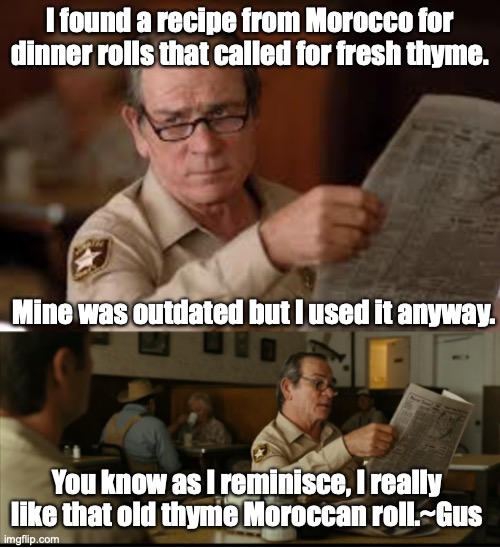 Tommy Explains | I found a recipe from Morocco for dinner rolls that called for fresh thyme. Mine was outdated but I used it anyway. You know as I reminisce, I really like that old thyme Moroccan roll.~Gus | image tagged in tommy explains | made w/ Imgflip meme maker