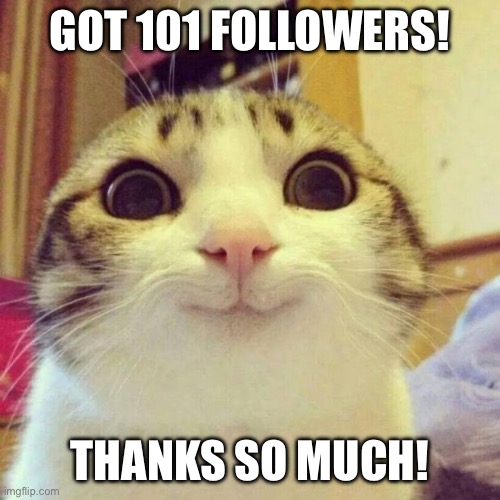 YAYYYY | GOT 101 FOLLOWERS! THANKS SO MUCH! | image tagged in memes,smiling cat | made w/ Imgflip meme maker