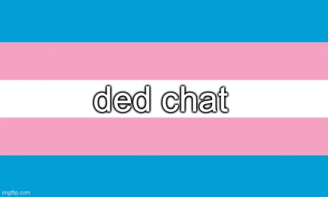 Transgender Flag | ded chat | image tagged in transgender flag | made w/ Imgflip meme maker