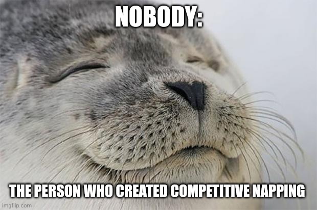 Competitive napping | NOBODY:; THE PERSON WHO CREATED COMPETITIVE NAPPING | image tagged in memes,satisfied seal,jpfan102504,funny memes | made w/ Imgflip meme maker