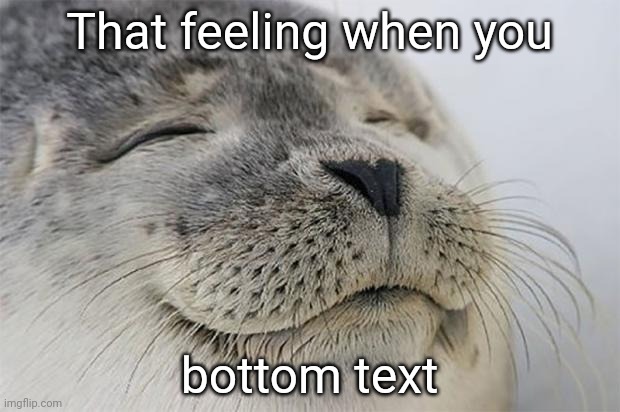 Satisfied Seal | That feeling when you; bottom text | image tagged in memes,satisfied seal | made w/ Imgflip meme maker