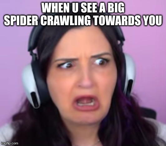 PLS HELP I JUST SAW ONE!! | WHEN U SEE A BIG SPIDER CRAWLING TOWARDS YOU | image tagged in spooderman | made w/ Imgflip meme maker