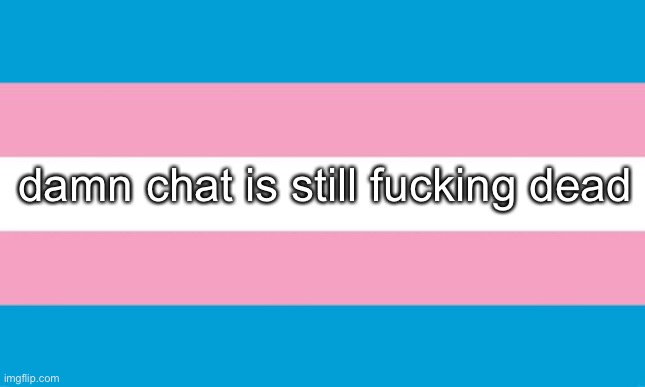 Transgender Flag | damn chat is still fucking dead | image tagged in transgender flag | made w/ Imgflip meme maker