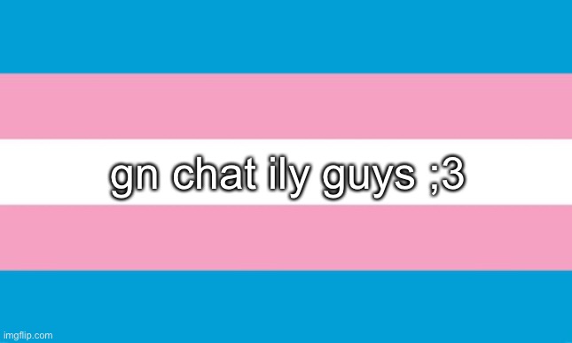 ^_^ | gn chat ily guys ;3 | image tagged in transgender flag | made w/ Imgflip meme maker