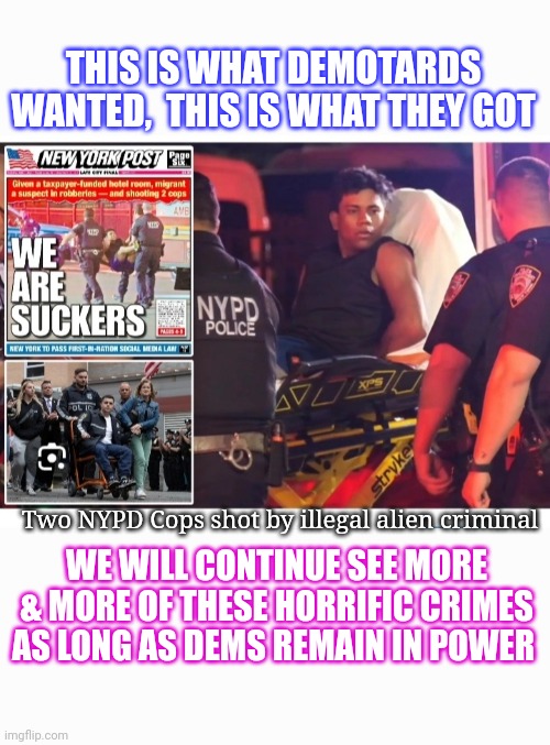Democrat Psycho-World.   Had Enough Yet? | THIS IS WHAT DEMOTARDS WANTED,  THIS IS WHAT THEY GOT; Two NYPD Cops shot by illegal alien criminal; WE WILL CONTINUE SEE MORE & MORE OF THESE HORRIFIC CRIMES AS LONG AS DEMS REMAIN IN POWER | image tagged in all,democrat,scumbags,you're fired | made w/ Imgflip meme maker