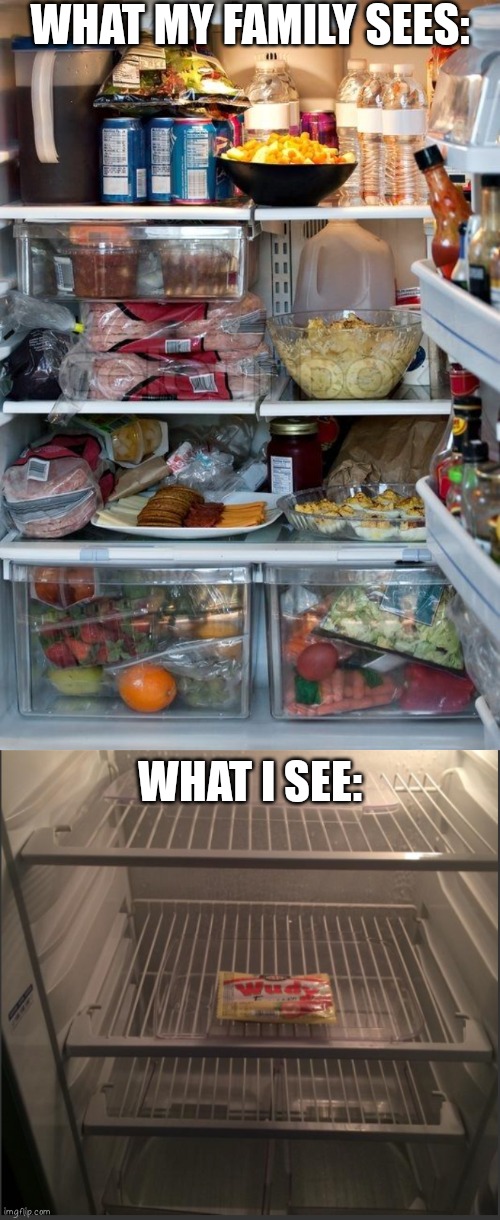 I'm a picky eater unless there is only one type of food | WHAT MY FAMILY SEES:; WHAT I SEE: | image tagged in full refrigerator | made w/ Imgflip meme maker