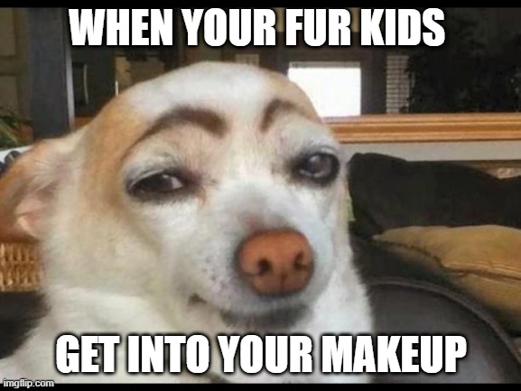 fur kids | WHEN YOUR FUR KIDS; GET INTO YOUR MAKEUP | image tagged in how you doin' | made w/ Imgflip meme maker