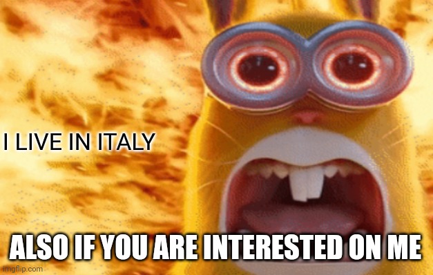 minion rabbit screaming | I LIVE IN ITALY; ALSO IF YOU ARE INTERESTED ON ME | image tagged in minion rabbit screaming | made w/ Imgflip meme maker