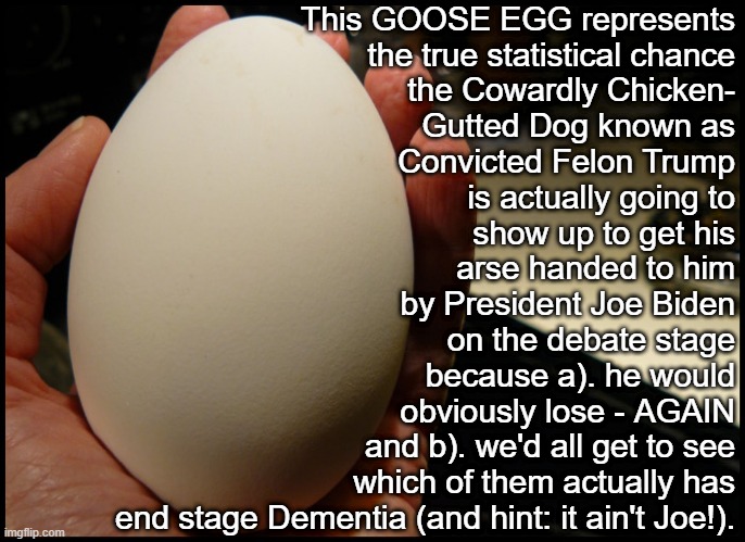 The Only Question Is Which Weak "Woe-Is-Me, I'm Such A Victim, It's So Unfair" Excuse He Will Use To Weasel Out Of The Debate. | This GOOSE EGG represents
the true statistical chance
the Cowardly Chicken-
Gutted Dog known as
Convicted Felon Trump
is actually going to
show up to get his
arse handed to him
by President Joe Biden
on the debate stage
because a). he would
obviously lose - AGAIN
and b). we'd all get to see
which of them actually has
end stage Dementia (and hint: it ain't Joe!). | image tagged in convict trump,convict 45,convicted felon trump,cowardly chicken gutted dog trump,dementia j trump,gitmo is too good for trump | made w/ Imgflip meme maker