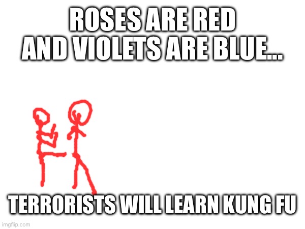 ROSES ARE RED AND VIOLETS ARE BLUE... TERRORISTS WILL LEARN KUNG FU | made w/ Imgflip meme maker