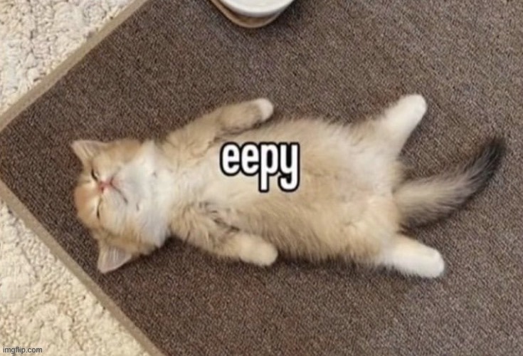 4:35 am | made w/ Imgflip meme maker