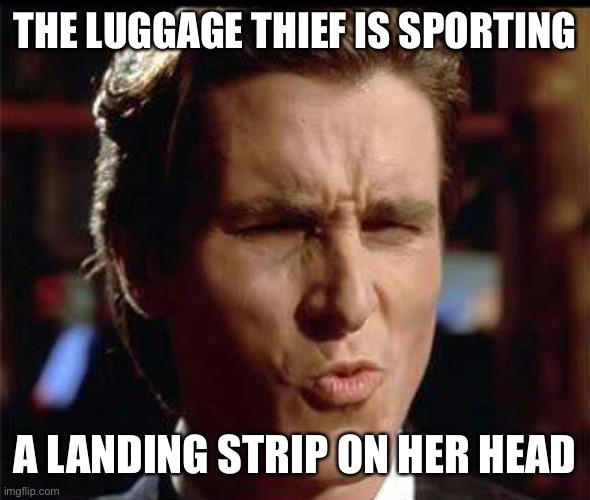Christian Bale Ooh | THE LUGGAGE THIEF IS SPORTING A LANDING STRIP ON HER HEAD | image tagged in christian bale ooh | made w/ Imgflip meme maker