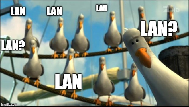 LAN | LAN? LAN; LAN; LAN; LAN? LAN | image tagged in nemo seagulls mine | made w/ Imgflip meme maker