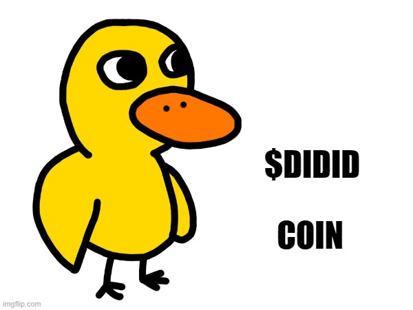DIDID coin | $DIDID; COIN | image tagged in meme coin,bitcoin,13 years old,indonesia,didid coin | made w/ Imgflip meme maker