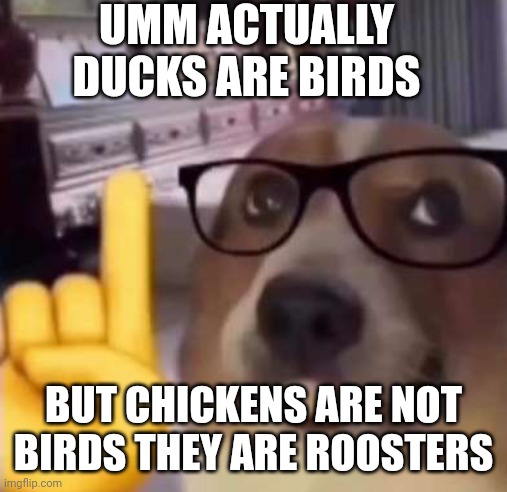 Lore | UMM ACTUALLY DUCKS ARE BIRDS; BUT CHICKENS ARE NOT BIRDS THEY ARE ROOSTERS | image tagged in umm actually | made w/ Imgflip meme maker