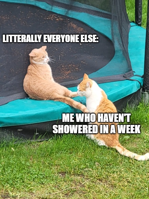 average league player be like | LITTERALLY EVERYONE ELSE:; ME WHO HAVEN'T SHOWERED IN A WEEK | image tagged in cats fun stuff,funny memes,cats,lol | made w/ Imgflip meme maker