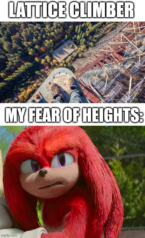 The daredevil is here | LATTICE CLIMBER; MY FEAR OF HEIGHTS: | image tagged in knuckles,lattice climbing,sonic the hedgehog,climbing,meme | made w/ Imgflip meme maker