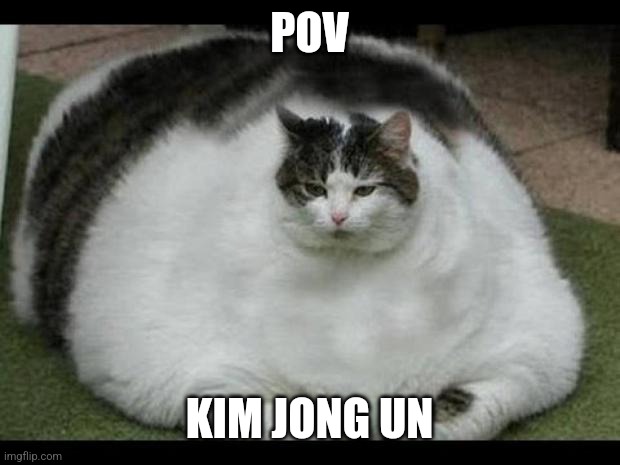 fat cat 2 | POV; KIM JONG UN | image tagged in fat cat 2 | made w/ Imgflip meme maker