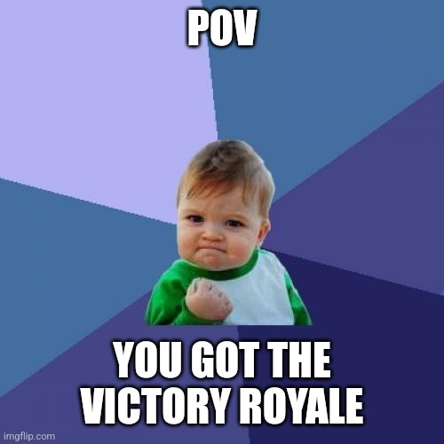 Success Kid | POV; YOU GOT THE VICTORY ROYALE | image tagged in memes,success kid | made w/ Imgflip meme maker