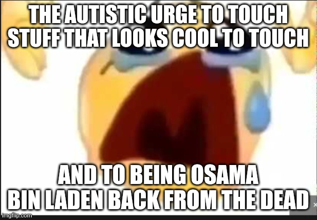 screaming meme emoji | THE AUTISTIC URGE TO TOUCH STUFF THAT LOOKS COOL TO TOUCH; AND TO BEING OSAMA BIN LADEN BACK FROM THE DEAD | image tagged in screaming meme emoji | made w/ Imgflip meme maker
