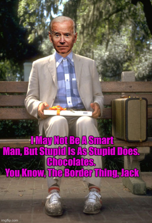 Run, Joe, Run ! | I May Not Be A Smart Man, But Stupid Is As Stupid Does. 
Chocolates. 
You Know, The Border Thing, Jack | image tagged in forest gump,politics,political meme,joe biden,funny memes,funny | made w/ Imgflip meme maker