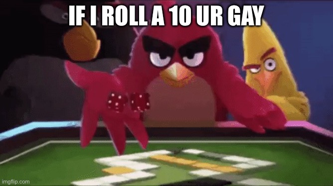 Angry bird rolling an dice | IF I ROLL A 10 UR GAY | image tagged in angry bird rolling an dice | made w/ Imgflip meme maker