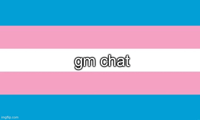 ive like 10 mins for shenanigans | gm chat | image tagged in transgender flag | made w/ Imgflip meme maker