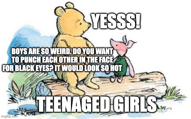 winnie the pooh and piglet | YESSS! BOYS ARE SO WEIRD. DO YOU WANT TO PUNCH EACH OTHER IN THE FACE FOR BLACK EYES? IT WOULD LOOK SO HOT; TEENAGED GIRLS | image tagged in winnie the pooh and piglet | made w/ Imgflip meme maker