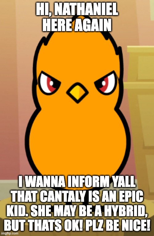 HI, NATHANIEL HERE AGAIN; I WANNA INFORM YALL THAT CANTALY IS AN EPIC KID. SHE MAY BE A HYBRID, BUT THATS OK! PLZ BE NICE! | image tagged in nathaniel the duck | made w/ Imgflip meme maker