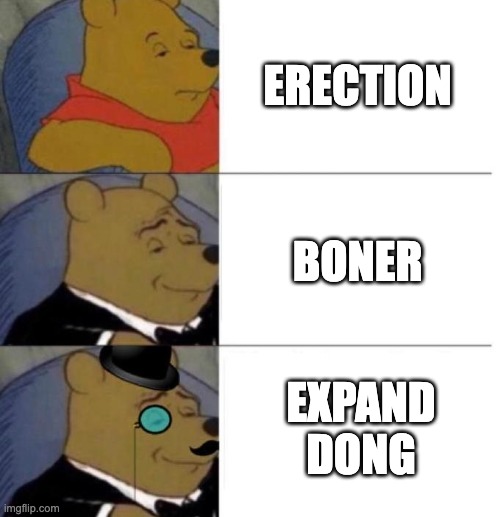 Tuxedo Winnie the Pooh (3 panel) | ERECTION; BONER; EXPAND DONG | image tagged in tuxedo winnie the pooh 3 panel | made w/ Imgflip meme maker