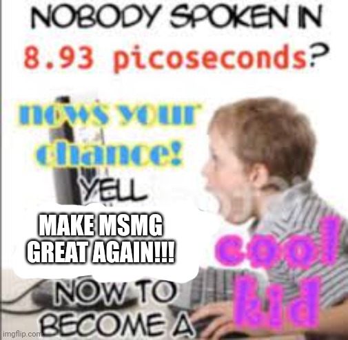everyone yell make MSMG great again | MAKE MSMG GREAT AGAIN!!! | image tagged in yell dead chat xd now to become a cool kid | made w/ Imgflip meme maker