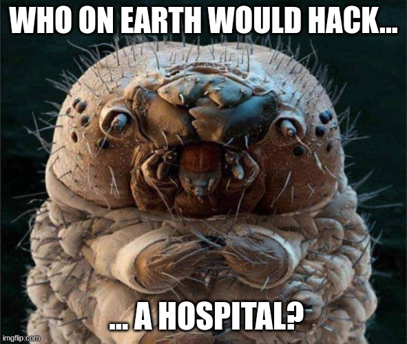 Who on earth ... | WHO ON EARTH WOULD HACK... ... A HOSPITAL? | image tagged in demodex | made w/ Imgflip meme maker