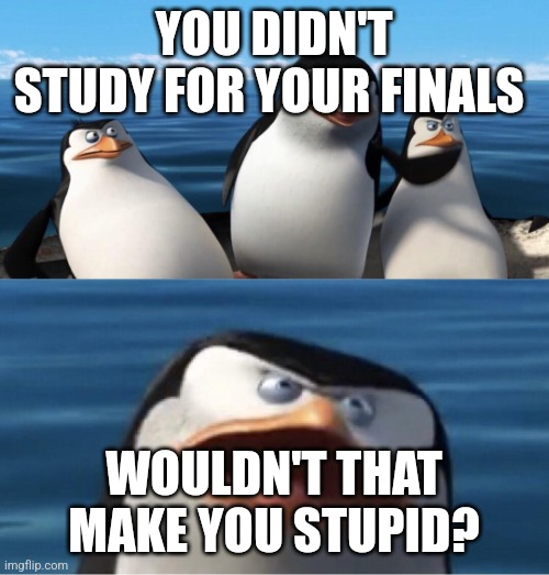 Me...because I didn't have time to study | YOU DIDN'T STUDY FOR YOUR FINALS; WOULDN'T THAT MAKE YOU STUPID? | image tagged in wouldn't that make you | made w/ Imgflip meme maker