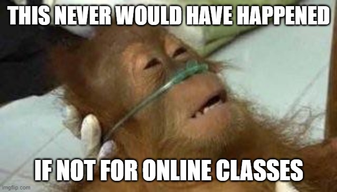 Sick Orangutan | THIS NEVER WOULD HAVE HAPPENED; IF NOT FOR ONLINE CLASSES | image tagged in sick orangutan | made w/ Imgflip meme maker