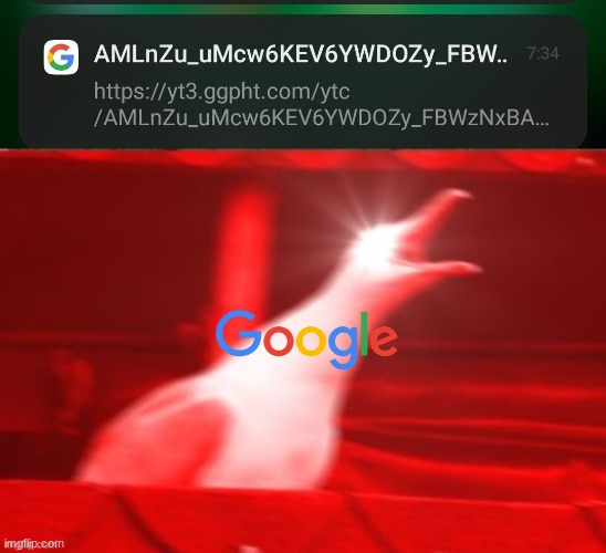 Thanks, Google! | image tagged in triggered seagull,funny,memes,funny memes,you had one job | made w/ Imgflip meme maker
