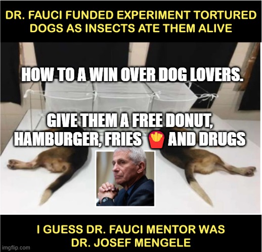 Fauci torturing dogs | HOW TO A WIN OVER DOG LOVERS. GIVE THEM A FREE DONUT, HAMBURGER, FRIES 🍟AND DRUGS | image tagged in fauci torturing dogs | made w/ Imgflip meme maker