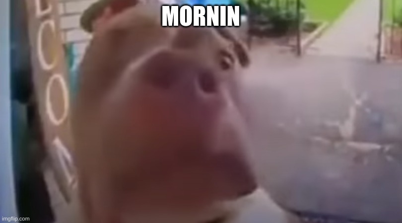 MORNIN | made w/ Imgflip meme maker