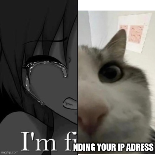 Im finding your ip address | NDING YOUR IP ADRESS | image tagged in i'm fi,nding your ip adress,ip address | made w/ Imgflip meme maker