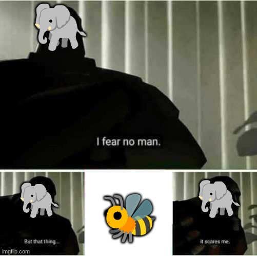 I was today years old when I discovered that elephants are scared of bees | 🐘; 🐘; 🐝; 🐘 | image tagged in i fear no man,elephant,scared,bees | made w/ Imgflip meme maker