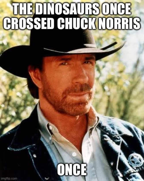 Chuck Norris Meme | THE DINOSAURS ONCE CROSSED CHUCK NORRIS; ONCE | image tagged in memes,chuck norris | made w/ Imgflip meme maker
