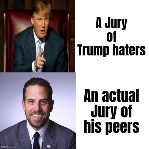 Drake Hotline Bling Meme | A Jury of Trump haters An actual Jury of his peers | image tagged in memes,drake hotline bling | made w/ Imgflip meme maker