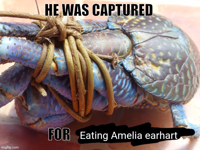 HE WAS CAPTURED; FOR; Eating Amelia earhart | made w/ Imgflip meme maker