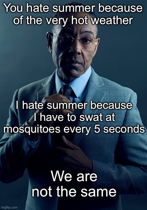 Seriously they’re the most obnoxious thing | You hate summer because of the very hot weather; I hate summer because I have to swat at mosquitoes every 5 seconds; We are not the same | image tagged in gus fring we are not the same,memes,summer | made w/ Imgflip meme maker