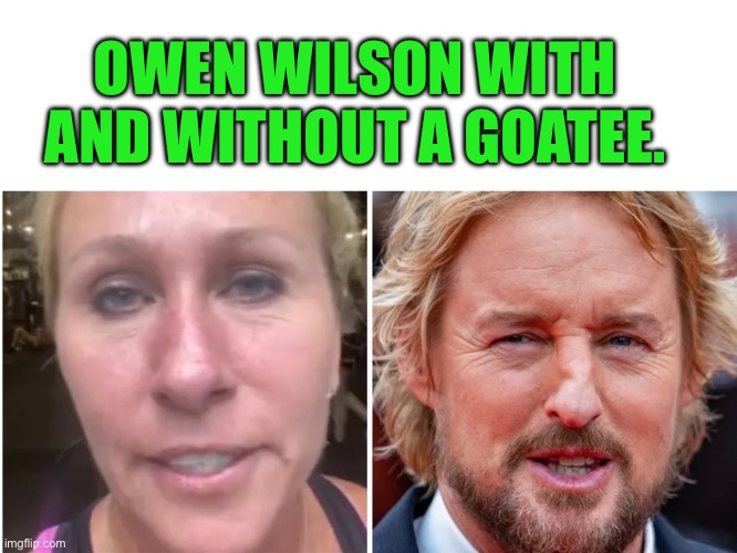 Twins | OWEN WILSON WITH AND WITHOUT A GOATEE. | image tagged in marjorietalorgreen,funny memes | made w/ Imgflip meme maker