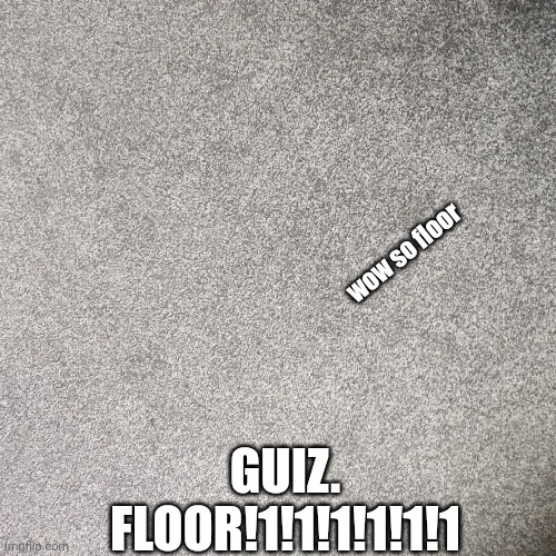 wow so floor; GUIZ.

FLOOR!1!1!1!1!1!1 | made w/ Imgflip meme maker