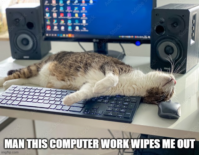 memes by Brad - cat is tired doing computer work - humor | MAN THIS COMPUTER WORK WIPES ME OUT | image tagged in funny,cats,kittens,computer,tired cat,humor | made w/ Imgflip meme maker