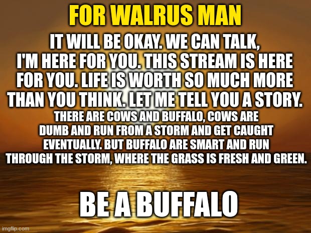 everyone who sees this has to find some way to get it to walrus_man | FOR WALRUS MAN; IT WILL BE OKAY. WE CAN TALK, I'M HERE FOR YOU. THIS STREAM IS HERE FOR YOU. LIFE IS WORTH SO MUCH MORE THAN YOU THINK. LET ME TELL YOU A STORY. THERE ARE COWS AND BUFFALO, COWS ARE DUMB AND RUN FROM A STORM AND GET CAUGHT EVENTUALLY. BUT BUFFALO ARE SMART AND RUN THROUGH THE STORM, WHERE THE GRASS IS FRESH AND GREEN. BE A BUFFALO | image tagged in love,help him,cows,buffalo,help | made w/ Imgflip meme maker